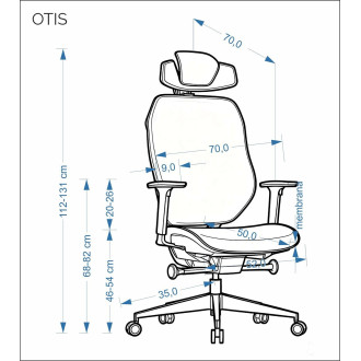 Fotel biurowy ergonomiczny z regulacją Otis czarny Halmar
