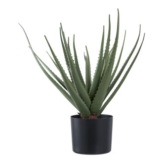 Sztuczna roślina Aloes 51cm House Nordic