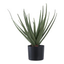 Sztuczna roślina Aloes 51cm House Nordic