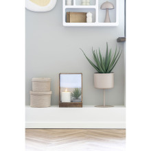 Sztuczna roślina Aloes 51cm House Nordic