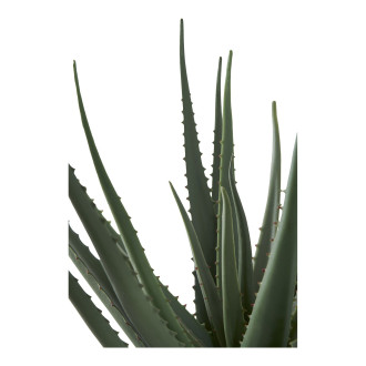 Sztuczna roślina Aloes 51cm House Nordic