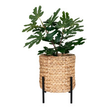 Kwietnik na nóżkach / osłona na doniczkę z hiacyntu wodnego Antas 23,5cm House Nordic