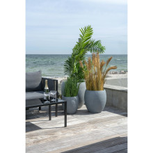 Sztuczna roślina Palma Areca 175cm House Nordic