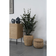 Sztuczne drzewko Eukaliptus 120cm House Nordic