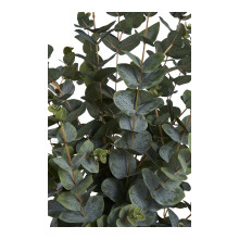 Sztuczne drzewko Eukaliptus 120cm House Nordic