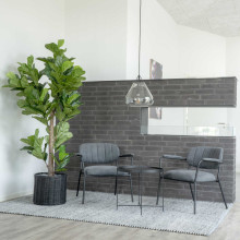 Sztuczny kwiat Fikus dbolistny 190cm House Nordic