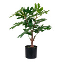 Sztuczne drzewko figowe 60cm House Nordic