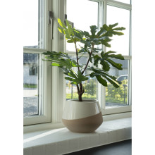 Sztuczne drzewko figowe 60cm House Nordic