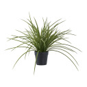 Sztuczna trawa w czarnej donicy 45cm House Nordic