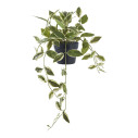 Sztuczna roślina Hoya 33cm House Nordic