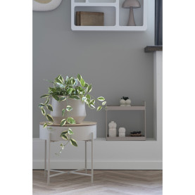 Sztuczna roślina Hoya 33cm House Nordic 2