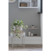 Sztuczna roślina Hoya 33cm House Nordic