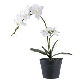 Sztuczna roślina biała Orchidea 49cm House Nordic