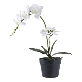 Sztuczna roślina biała Orchidea 49cm House Nordic