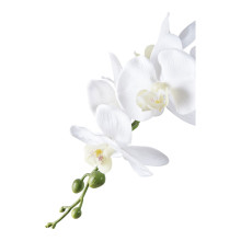 Sztuczna roślina biała Orchidea 49cm House Nordic