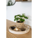 Sztuczny kwiat Pelia 28cm House Nordic
