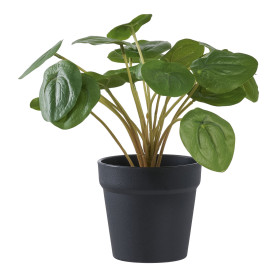 Sztuczny kwiat Pelia 28cm House Nordic 2