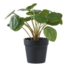 Sztuczny kwiat Pelia 28cm House Nordic