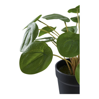 Sztuczny kwiat Pelia 28cm House Nordic
