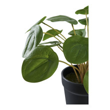 Sztuczny kwiat Pelia 28cm House Nordic
