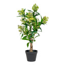 Sztuczne drzewo Skimmia 75cm House Nordic