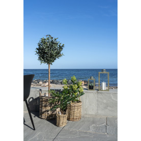 Sztuczne drzewo Skimmia 75cm House Nordic 2