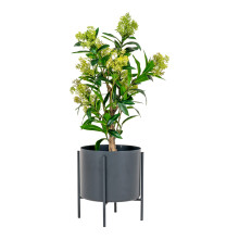 Sztuczne drzewo Skimmia 75cm House Nordic