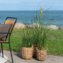Zestaw 3 koszy Hue trawa morska House Nordic