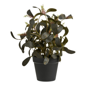 Sztuczna roślina - kwiat Peperomia 35cm House Nordic