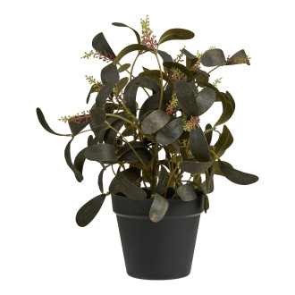 Sztuczna roślina - kwiat Peperomia 35cm House Nordic