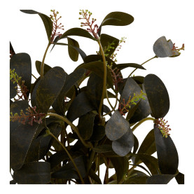 Sztuczna roślina - kwiat Peperomia 35cm House Nordic 2