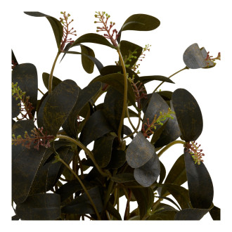 Sztuczna roślina - kwiat Peperomia 35cm House Nordic