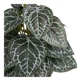 Sztuczna roślina - kwiat  Fittonia 33cm House Nordic 2