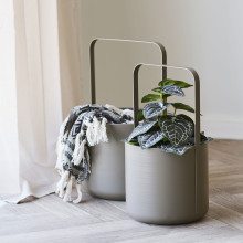 Sztuczna roślina - kwiat  Fittonia 33cm House Nordic