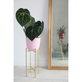 Stylowy Kwietnik stojący metalowy Animusz złoty Elementuj na rośliny 2